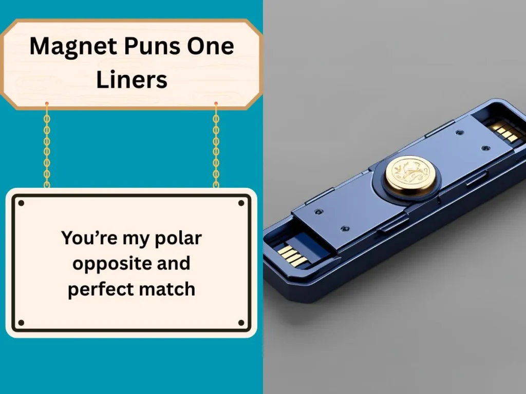 Magnet Puns One Liners