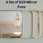 Mirror Puns