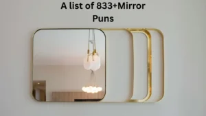 Read more about the article 833+Top Mirror Puns for Selfies and Reflections for 2025