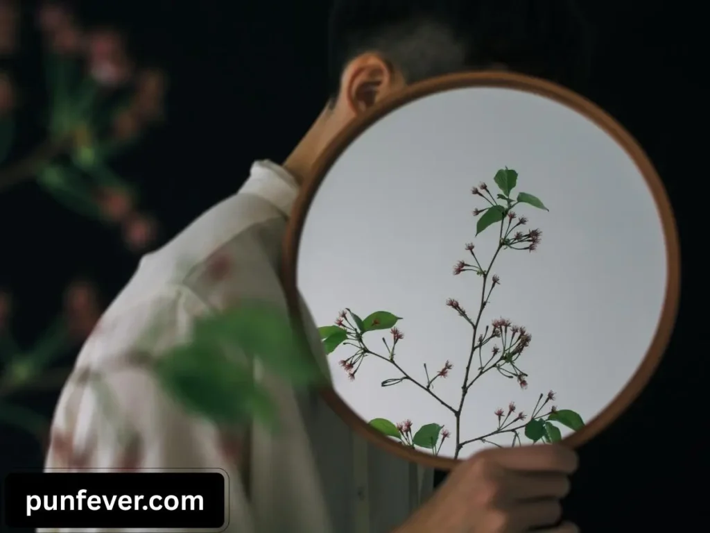 Mirror Puns Captions