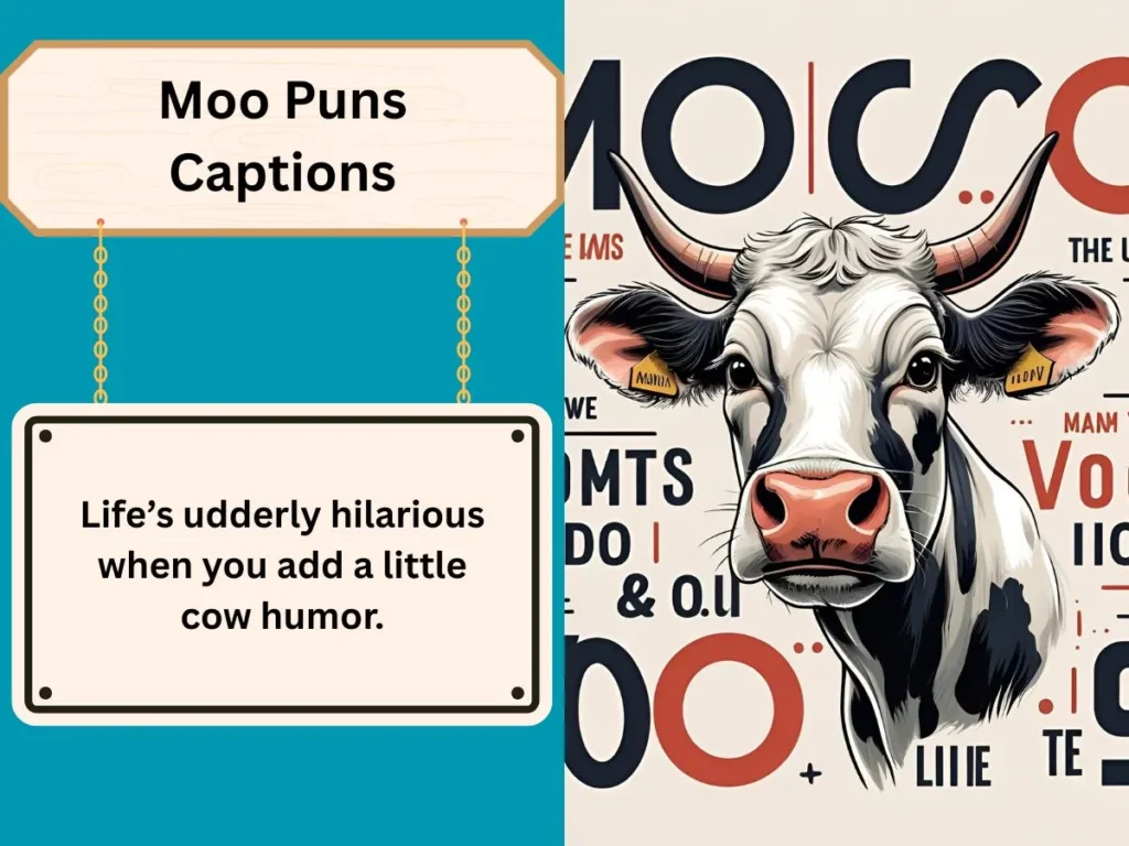 Moo Puns Captions