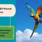 Parrot Puns 