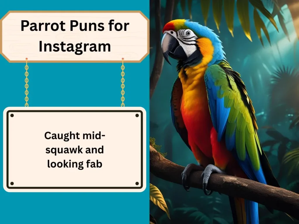 Parrot Puns for Instagram
