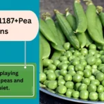 Pea Puns 