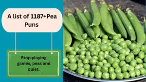 Read more about the article 1187+Hilarious Pea Puns You’ll Love 2025