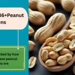 Peanut Puns 