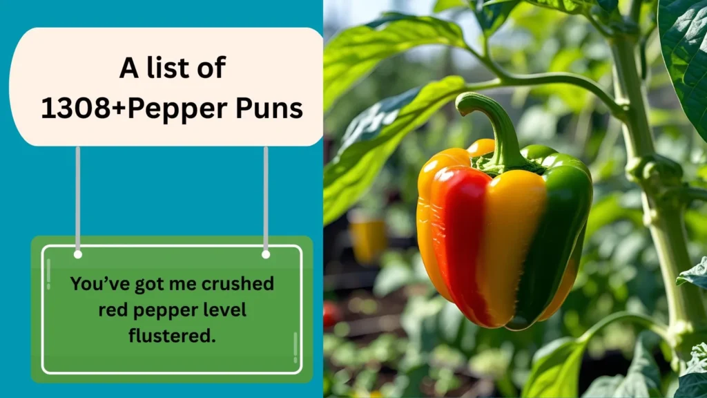 Pepper Puns