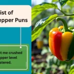 Pepper Puns