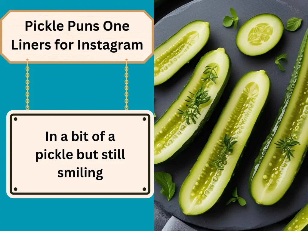 Pickle Puns One Liners for Instagram