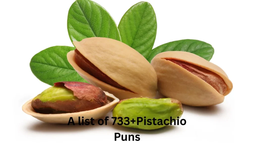 Pistachio Puns