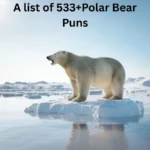 Polar Bear Puns