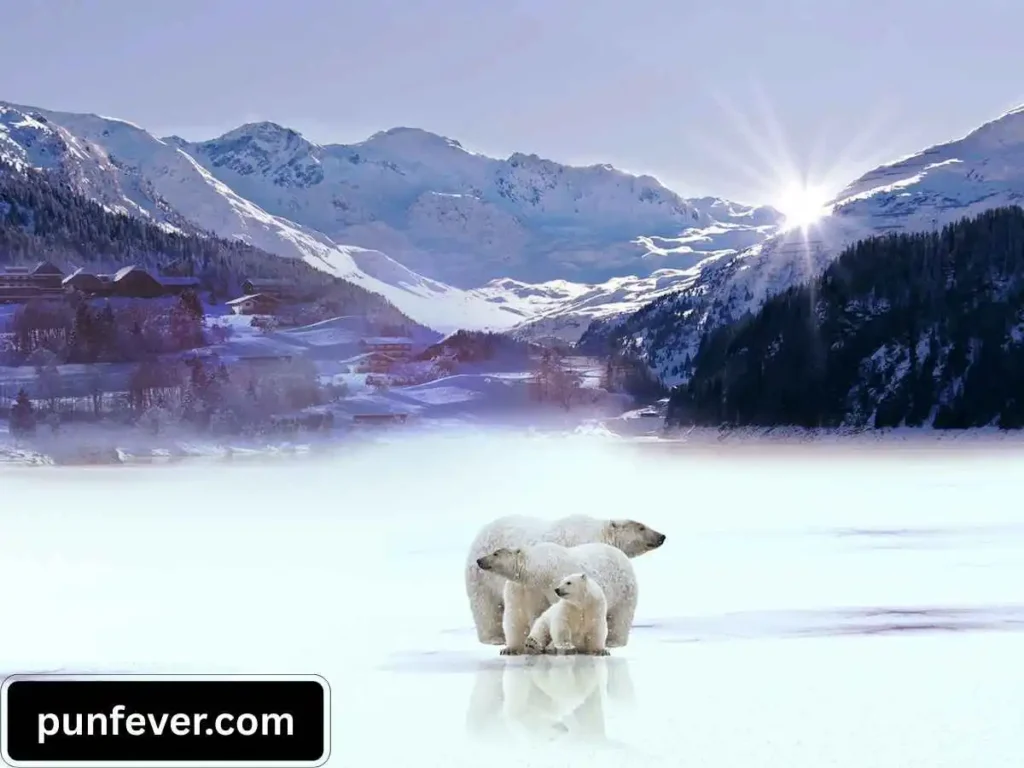 Polar Bear Puns for Instagram