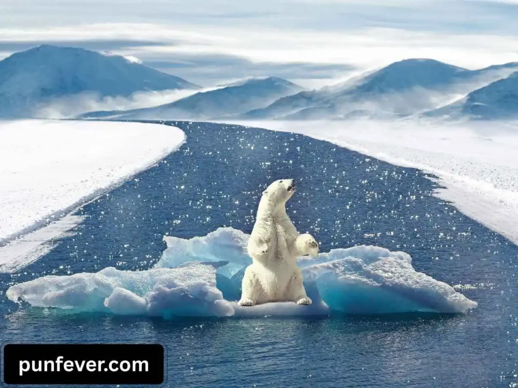 Polar Bear Puns One Liners