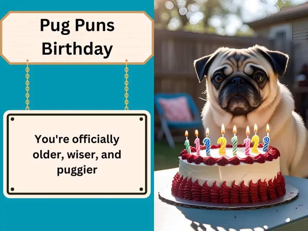 Pug Puns Birthday