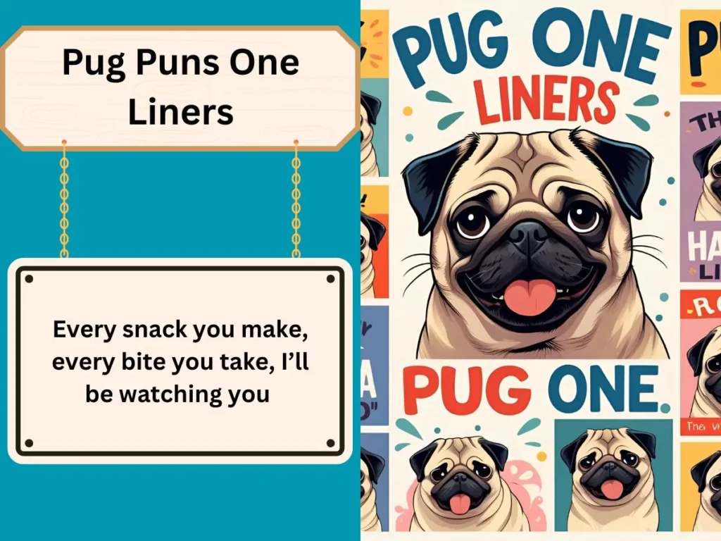 Pug Puns One Liners