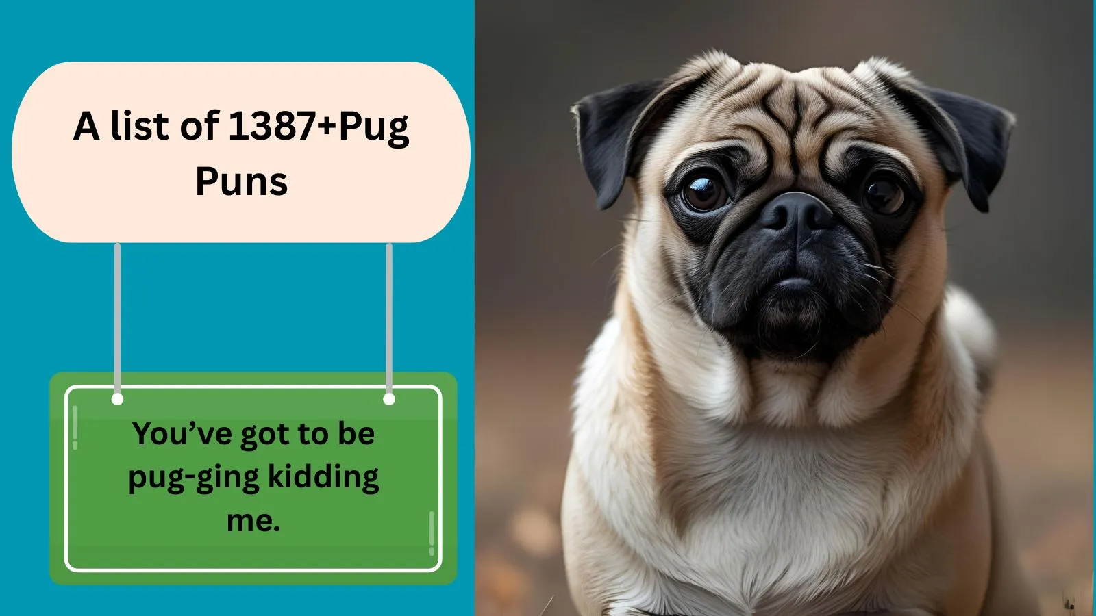 You are currently viewing 1387+Hilarious Pug Puns Wordplay That’s Pugged With Fun 2025
