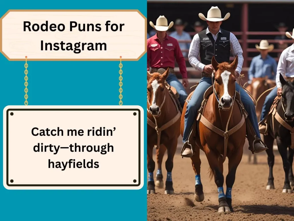 Rodeo Puns Captions