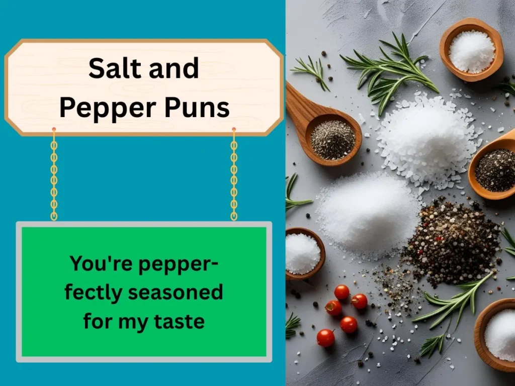 Salt and Pepper Puns
