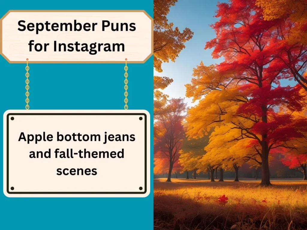 September Puns for Instagram