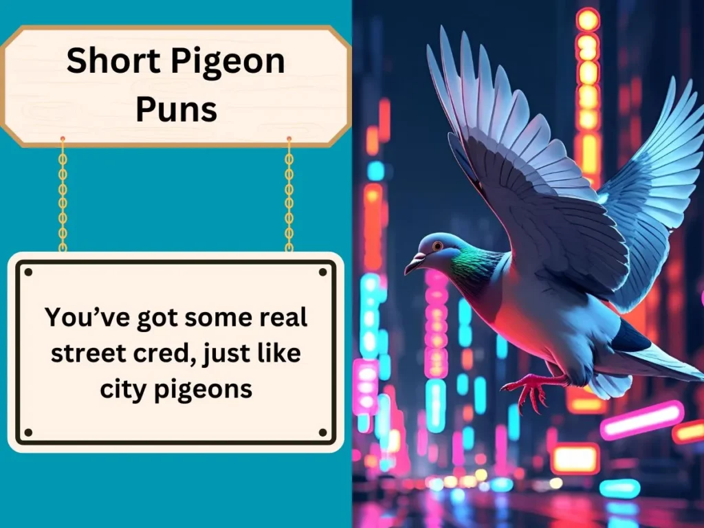 Short Pigeon Puns