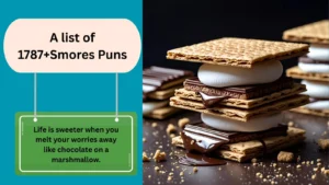 Read more about the article 1787+Best Smores Puns That Are Simply S’more-licious