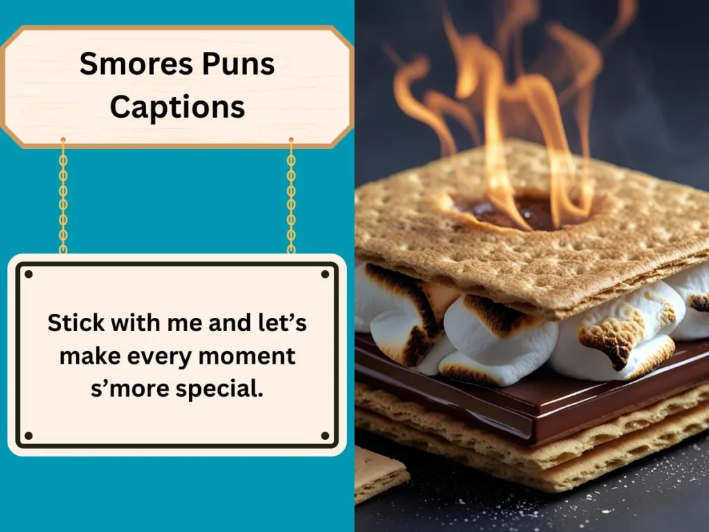 Smores Puns Captions
