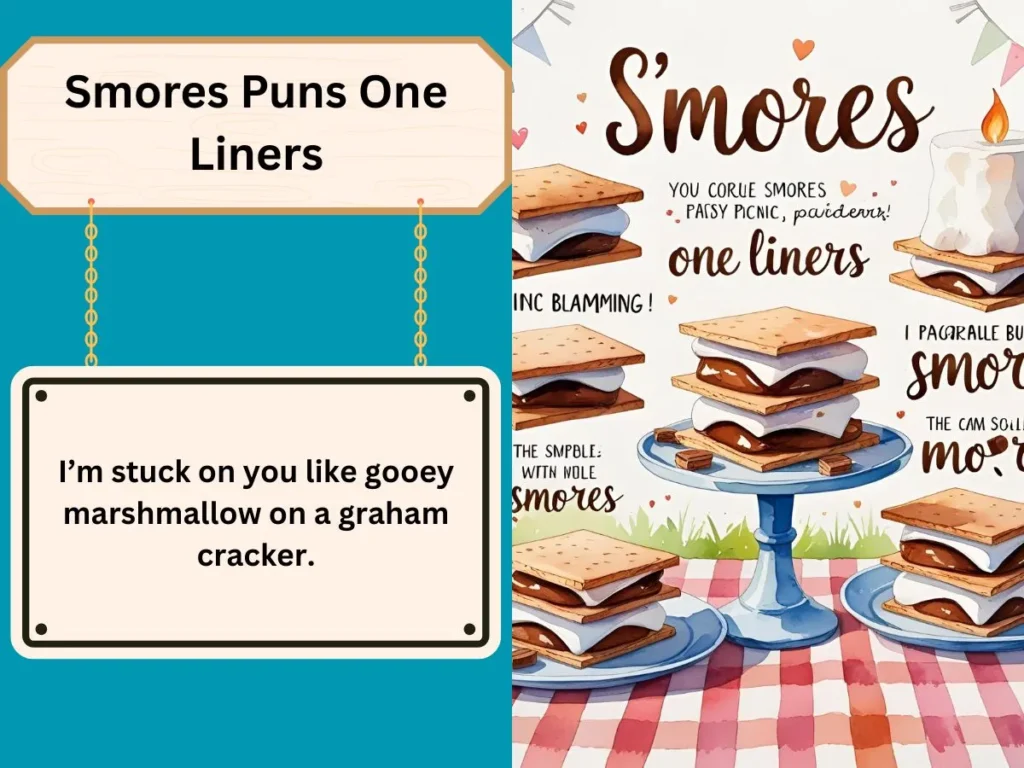 Smores Puns One Liners