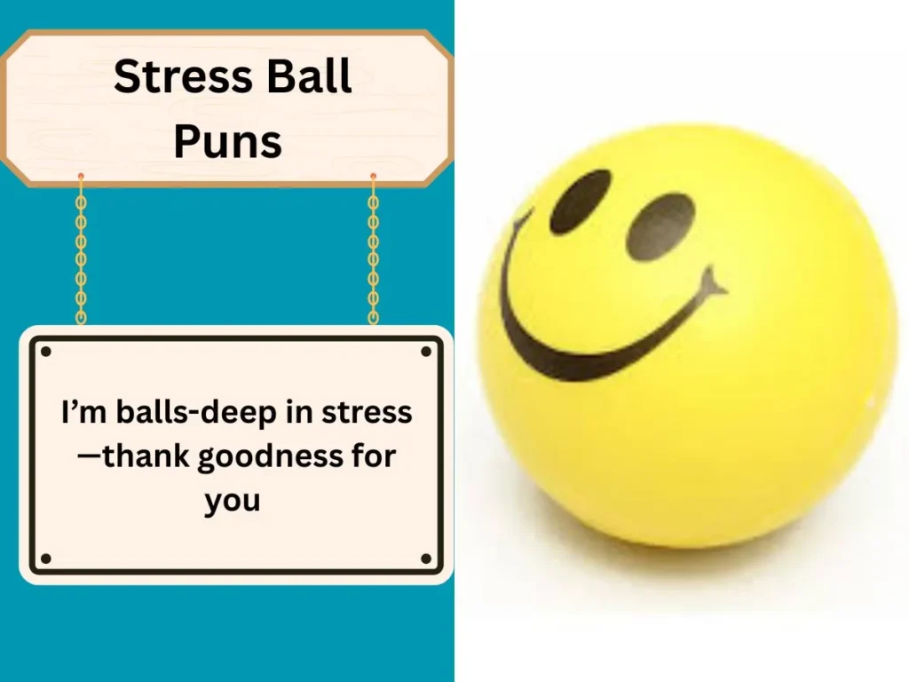 Volley Ball Puns