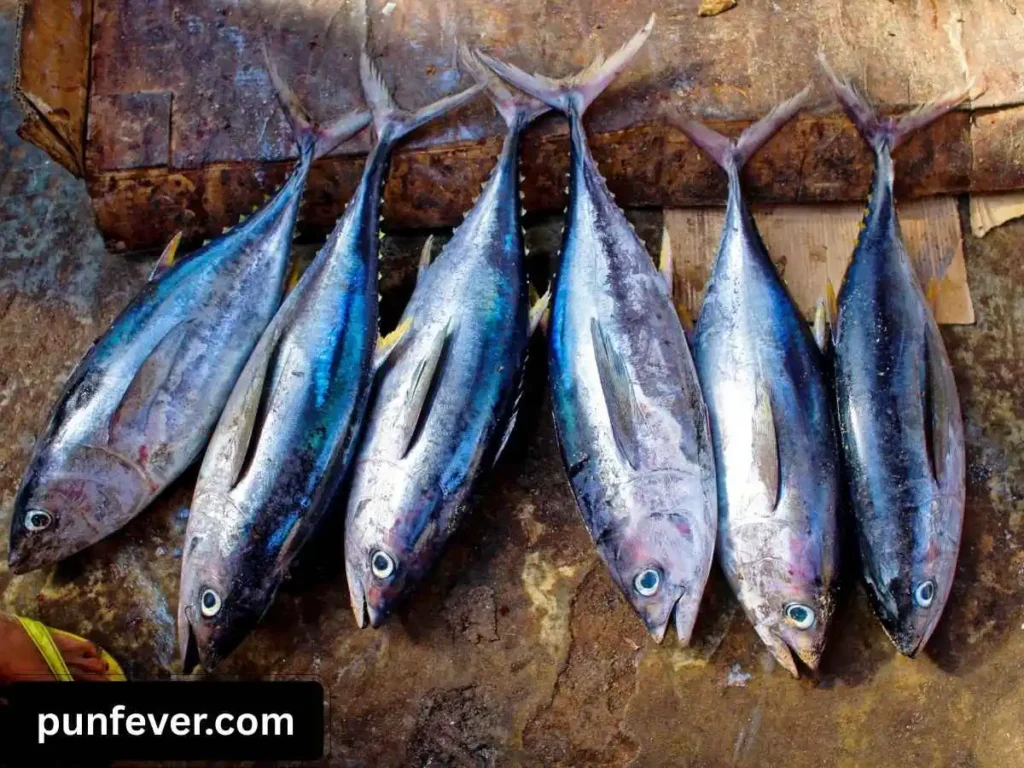 Tuna Puns One Liners