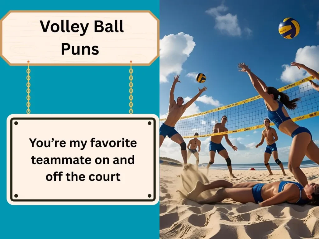 Volley Ball Puns