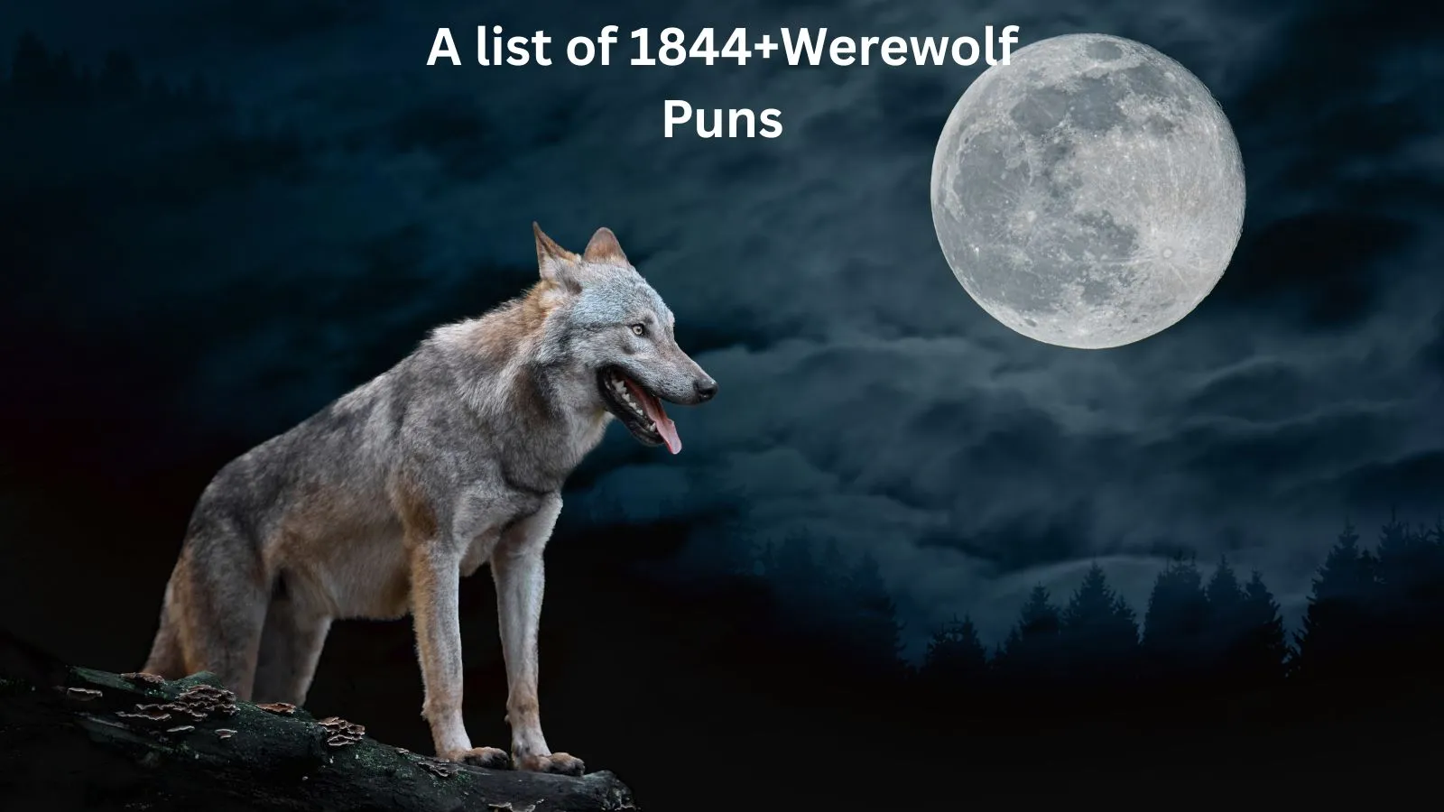 You are currently viewing 1844+Trending Werewolf Puns to Keep Your Full Moon Fun Alive