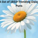 Daisy Puns 
