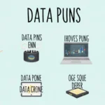 Data Puns